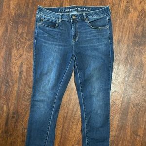 Article of Society Skinny Jeans